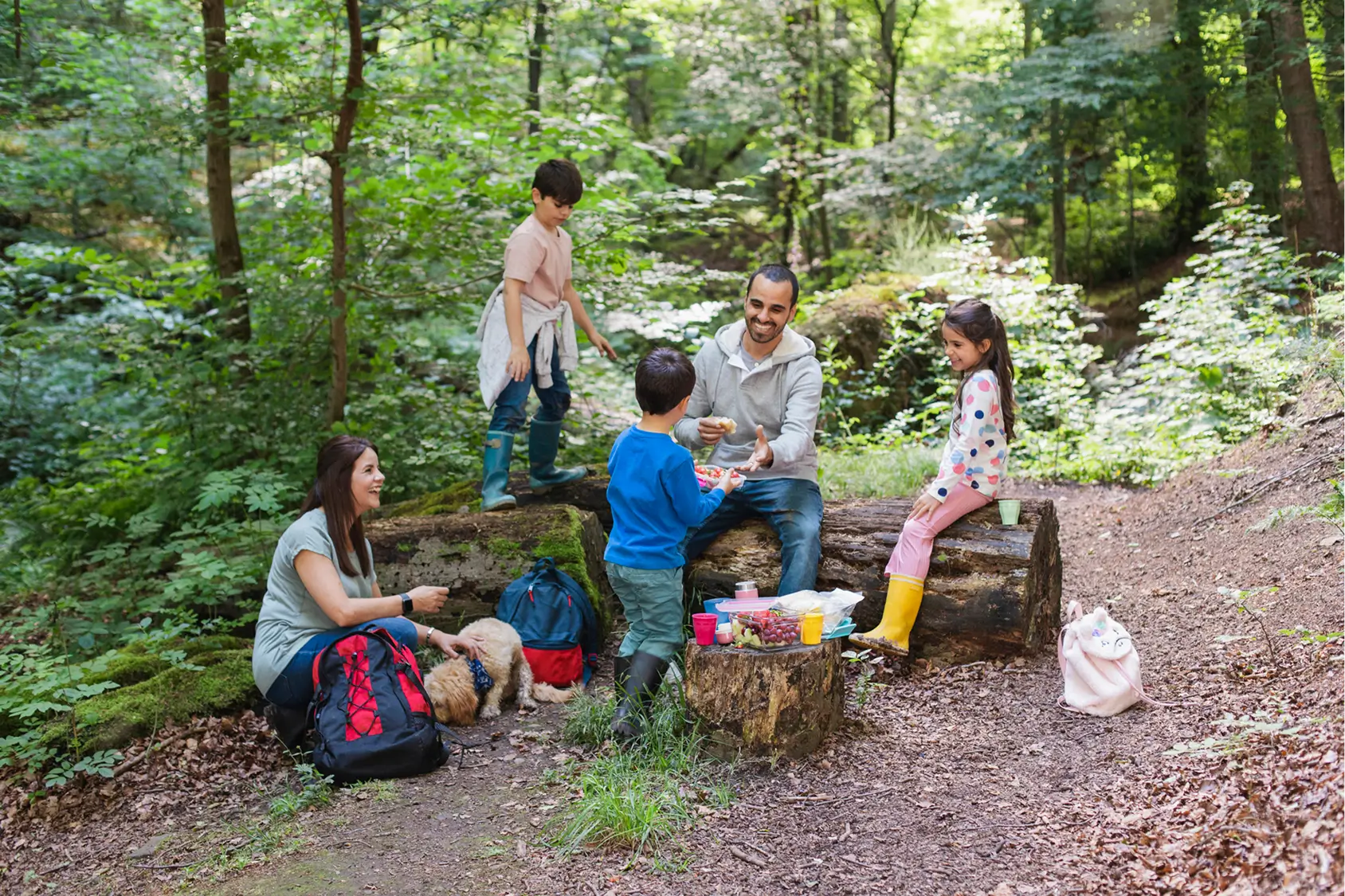 Family enjoying picnic in the forest