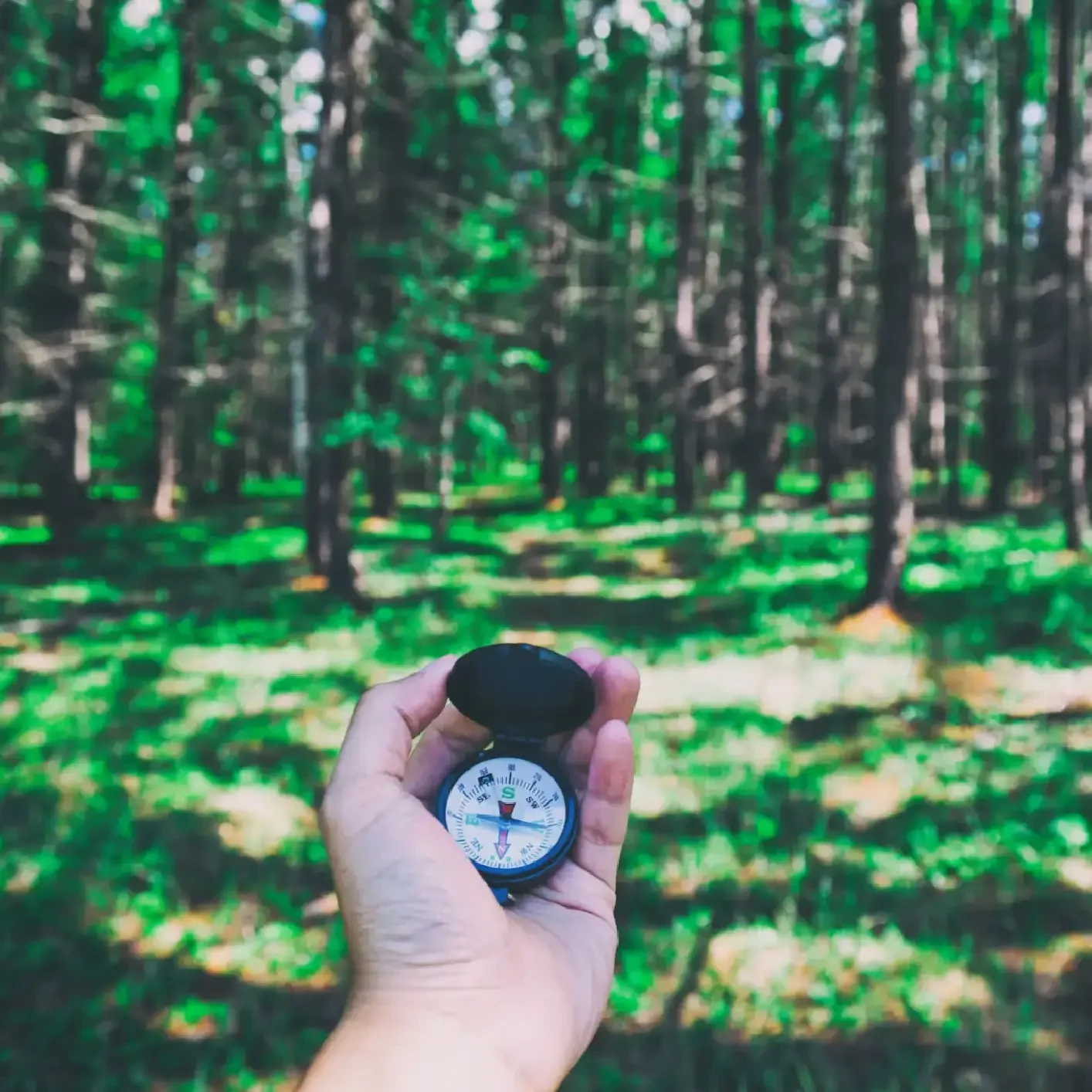Navigating woods with a compass